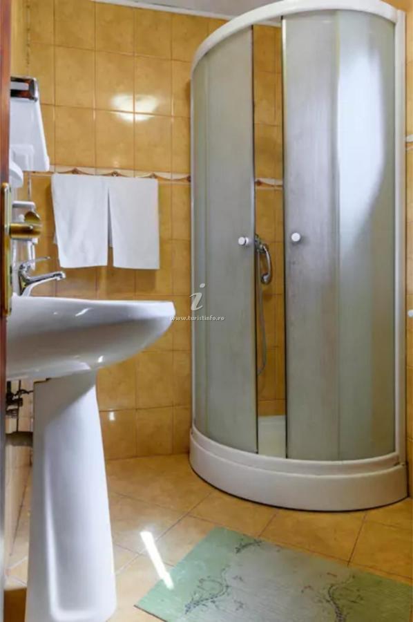 Vila Nik Buşteni Extérieur photo