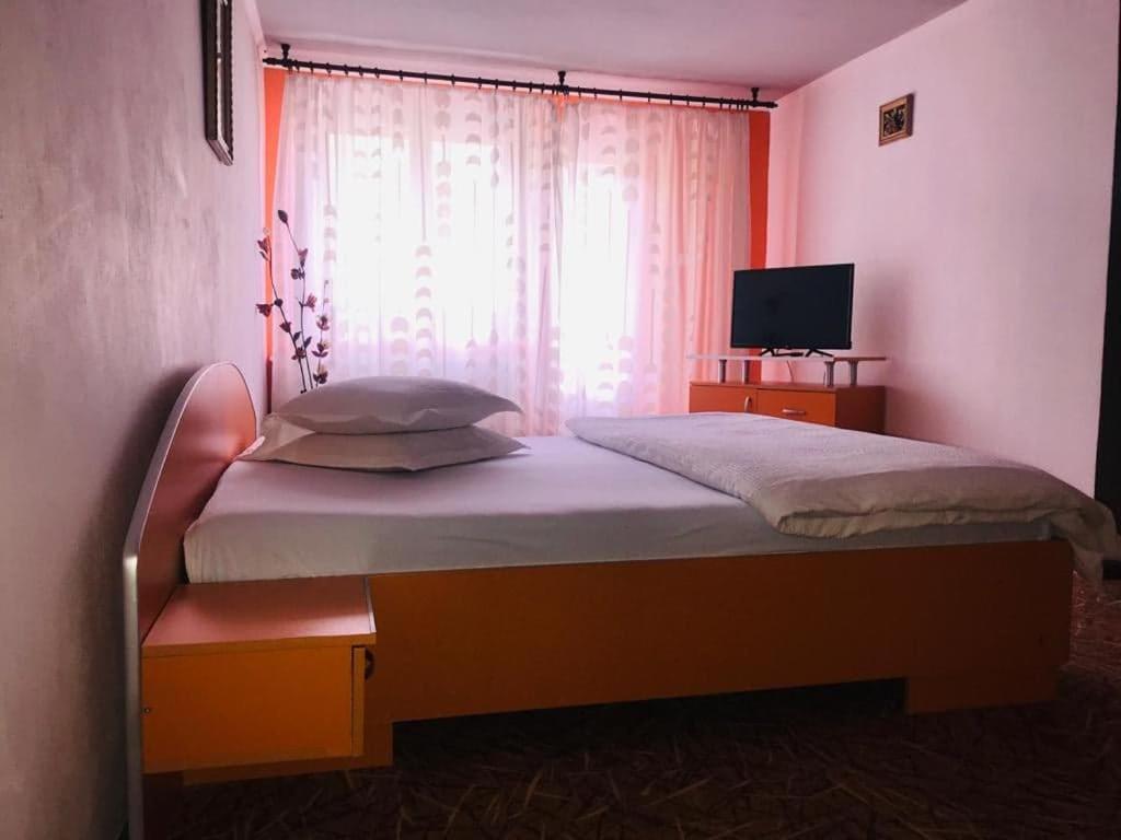 Vila Nik Buşteni Extérieur photo