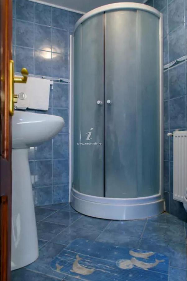 Vila Nik Buşteni Extérieur photo